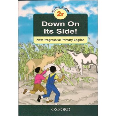 Down on its Side! 2r by Kariuki