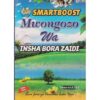 Smartboost Mwongozo wa Insha Bora Zaidi