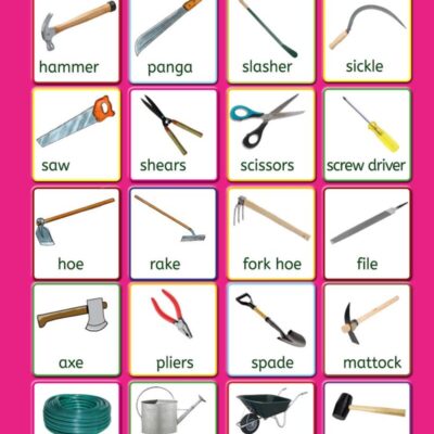 Queenex Simple Tools Chart