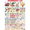 Number Chart 1-20 Laminated DL by Dreamland