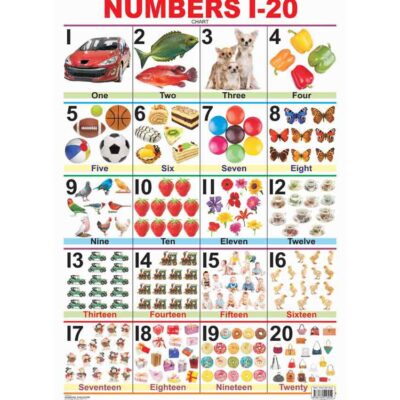 Number Chart 1-20 Laminated DL by Dreamland