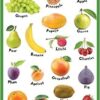 DL Charts Fruits Laminated