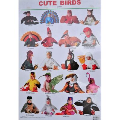 DL Cute Alphabet Birds