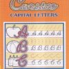 Vikas Cursive Capital Letters by NavNeet