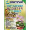 Smartboost Encyclopedia Booster Grade 5