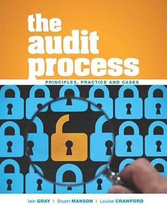 THE AUDIT PROCESS
