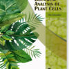 Botanical Analysis Of Plant Cells